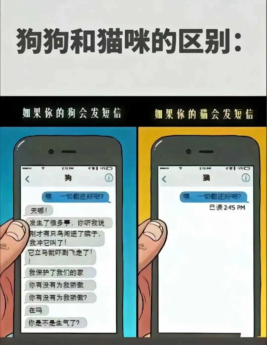 西檬之家BDSM入圈新手完全指南,如何安全优雅地迈出第一步? 一