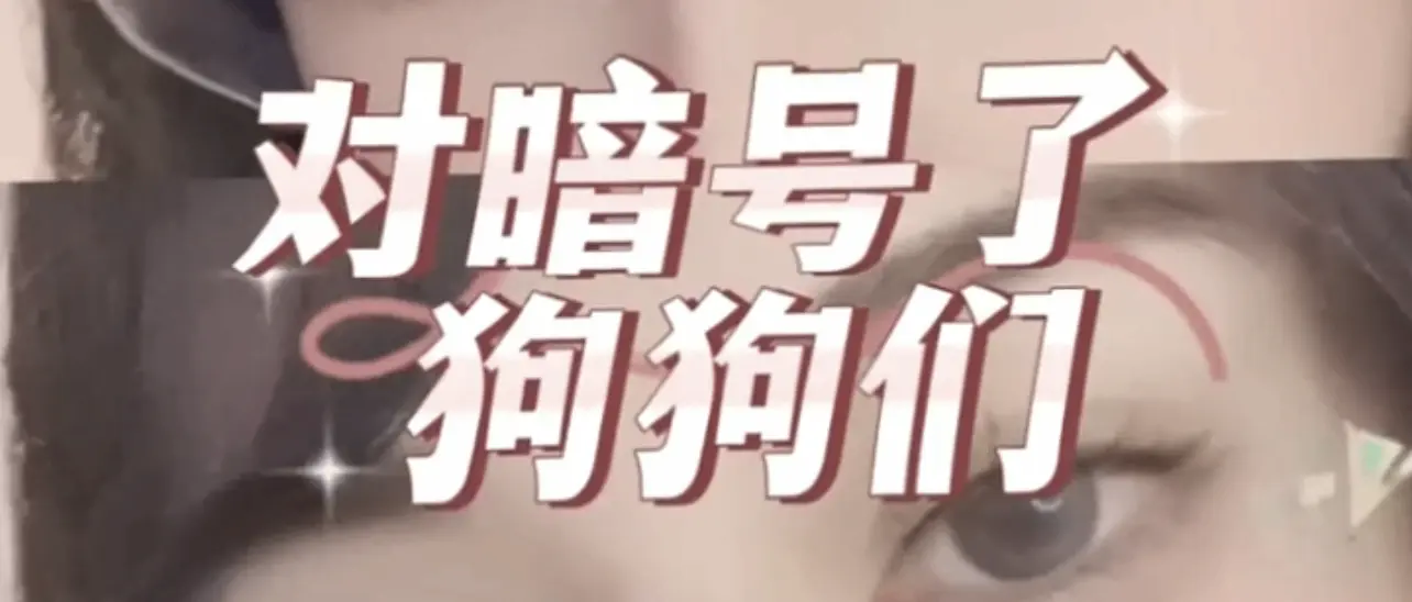 西檬之家k8是什么?字母圈新人必看解读指南 一