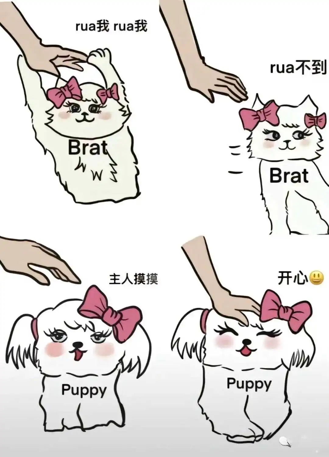 西檬之家Tickle怎么玩?字母圈新手必知的乐趣与技巧 一