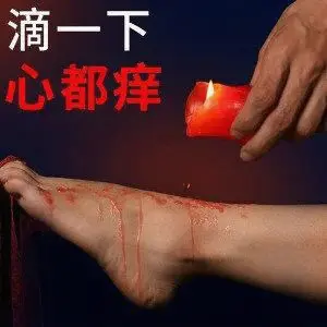 西檬之家K9是什么?解密字母圈中的新兴趋势与魅力 一