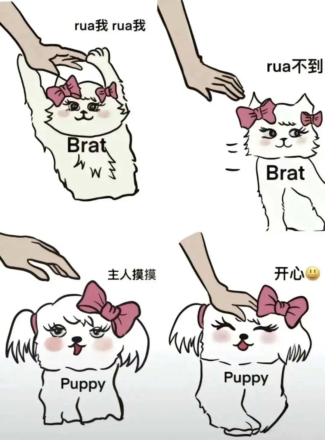 西檬之家DS关系究竟是什么?掌握字母圈核心动态技巧! 一