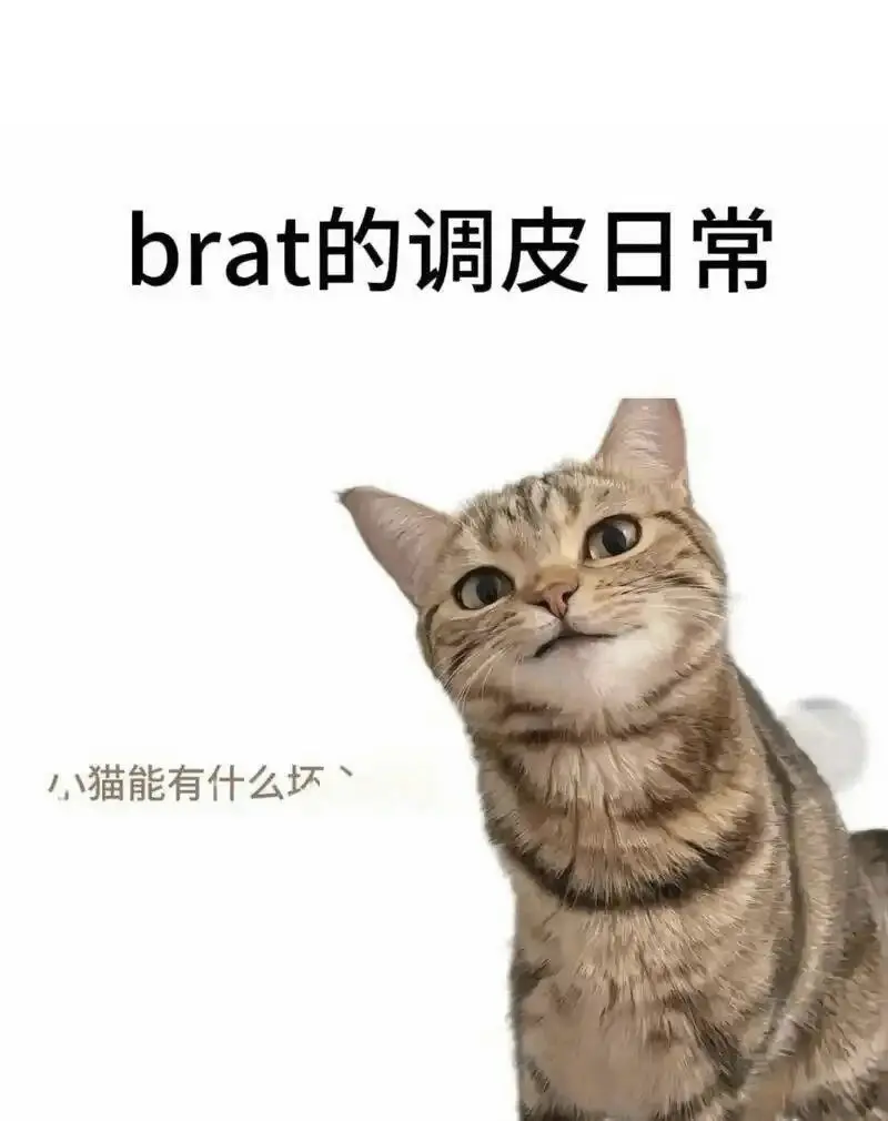 西檬之家字母圈的aftercare究竟为何不可忽视? 一