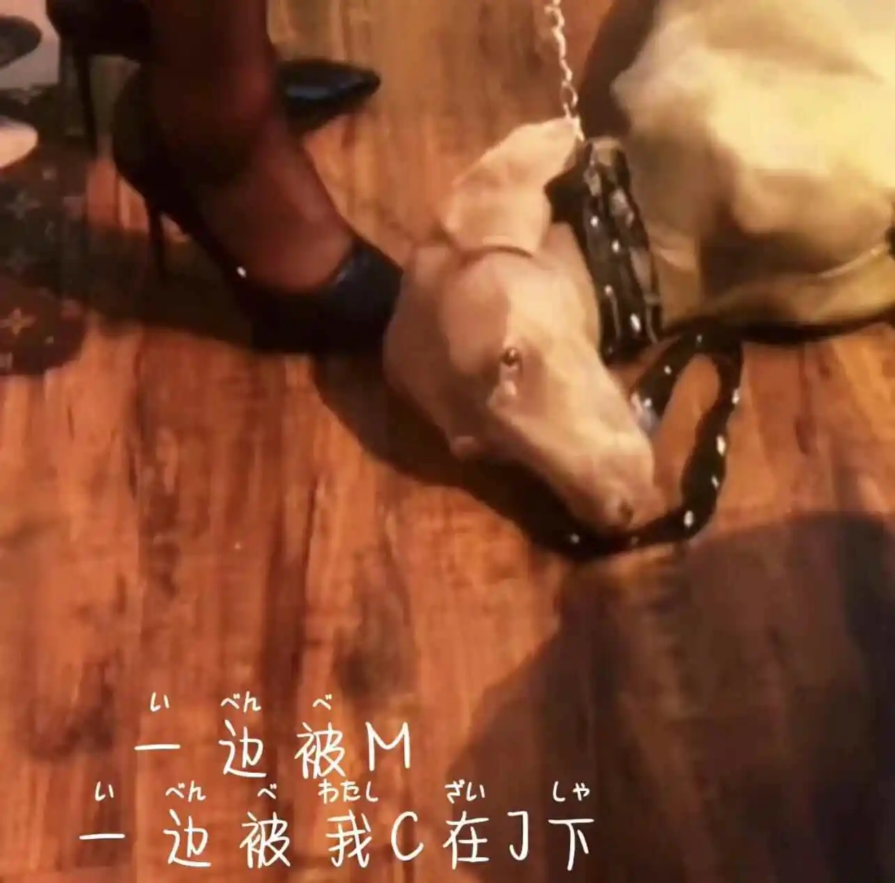 西檬之家s倾向是什么?如何理解你的字母圈亲密关系 一