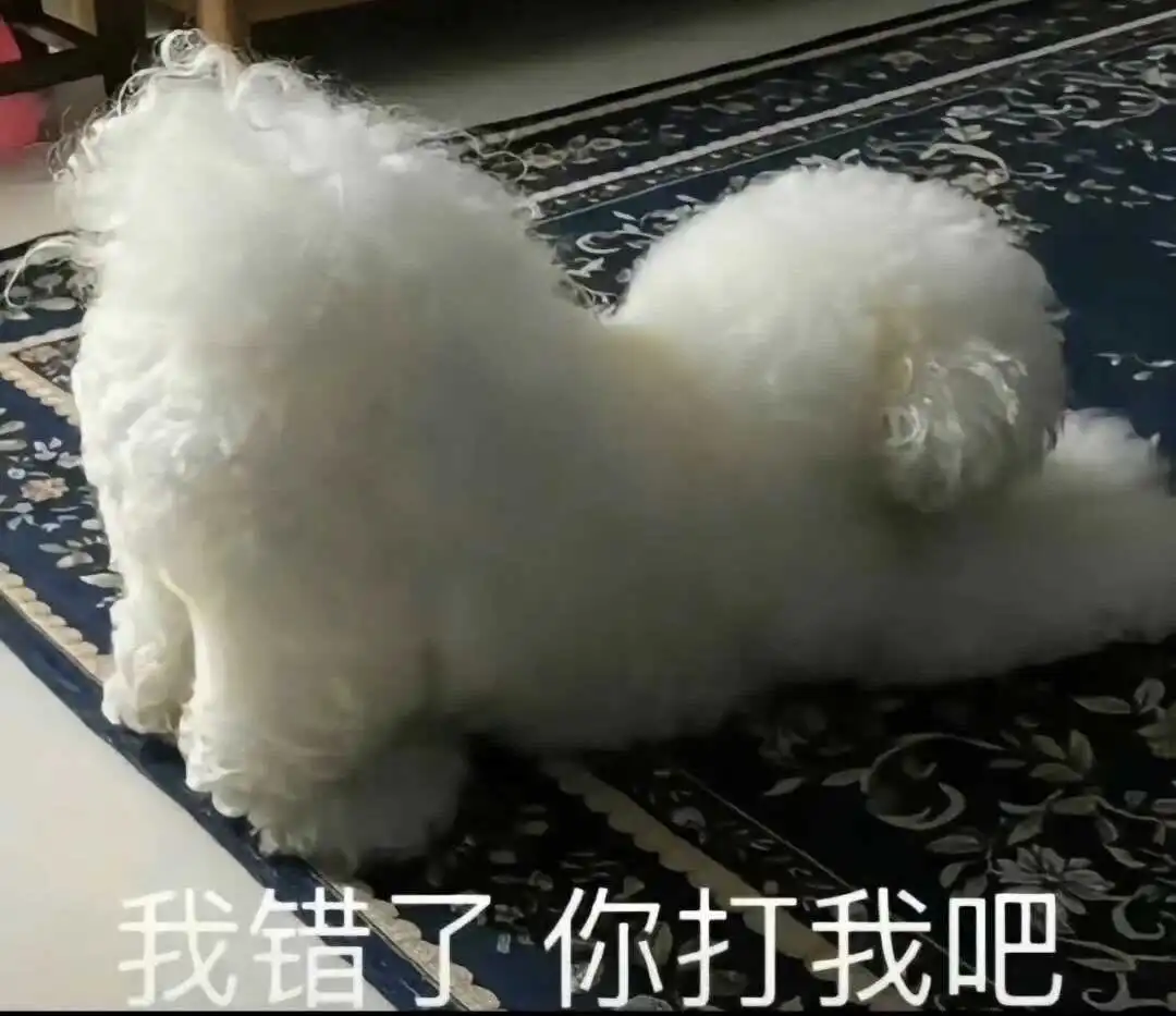 西檬之家s倾向新手指南:如何理解并探索你的字母圈身份 一