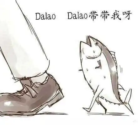 西檬之家k9犬系是什么?了解你可能不知道的细节与魅力! 一