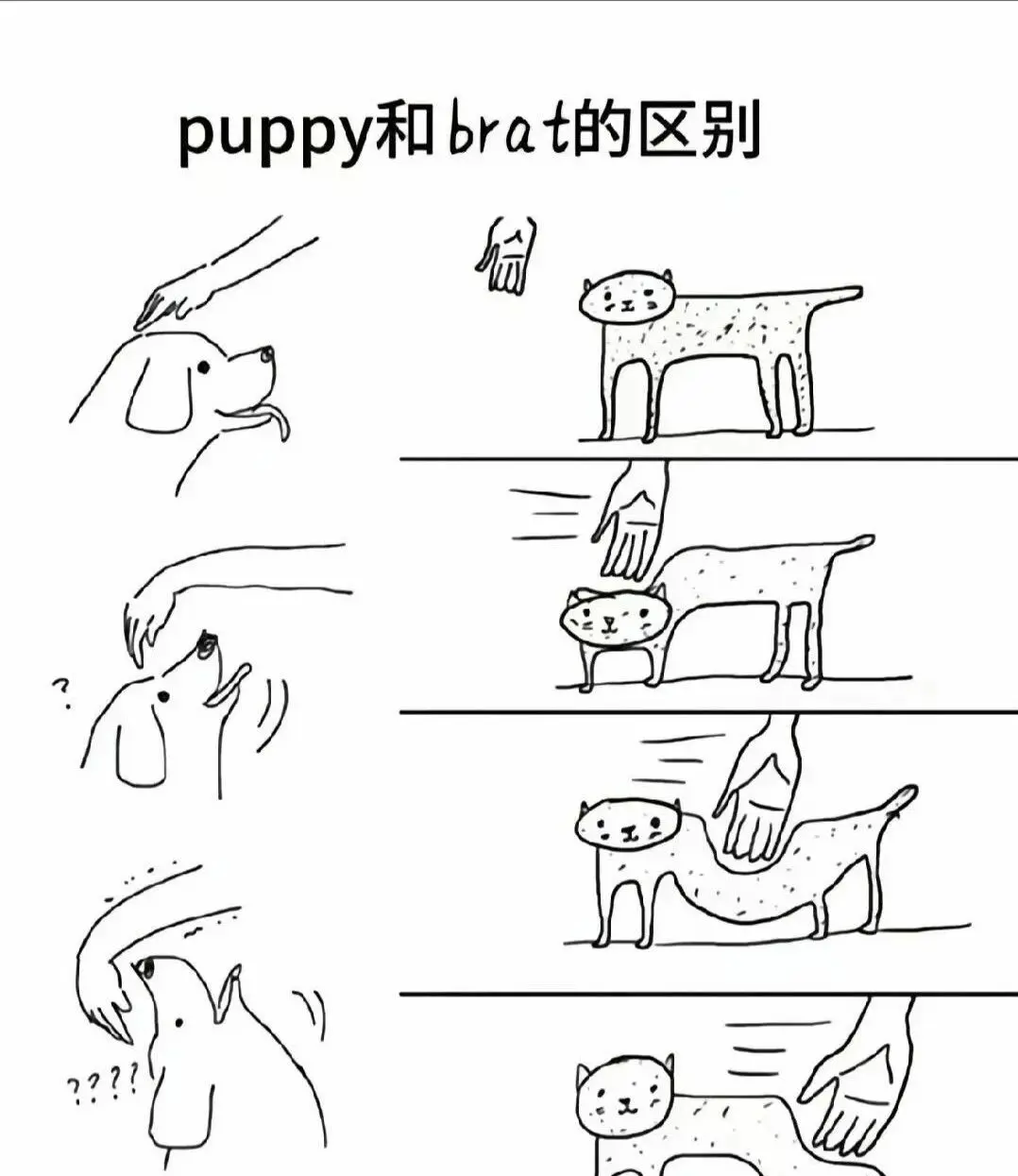 西檬之家sm亚文化是什么?字母圈新人必看 一