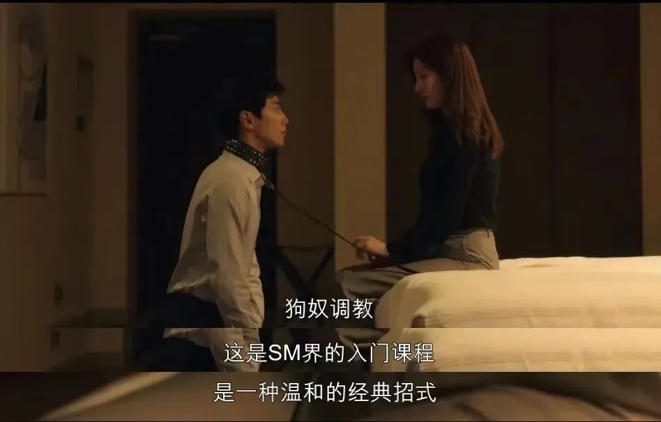 西檬之家字母圈新人如何理解Dom? 一